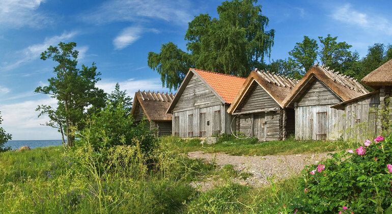 Lahemaa National Park Day Trip from Tallinn