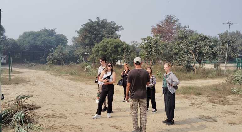 Excursión de día completo en Agra: conservación de elefantes y rescate de osos