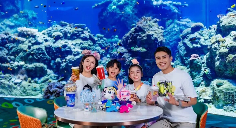 Eintrittskarte für den „ZhuHai Hengqin Chimelong Show Global Circus“