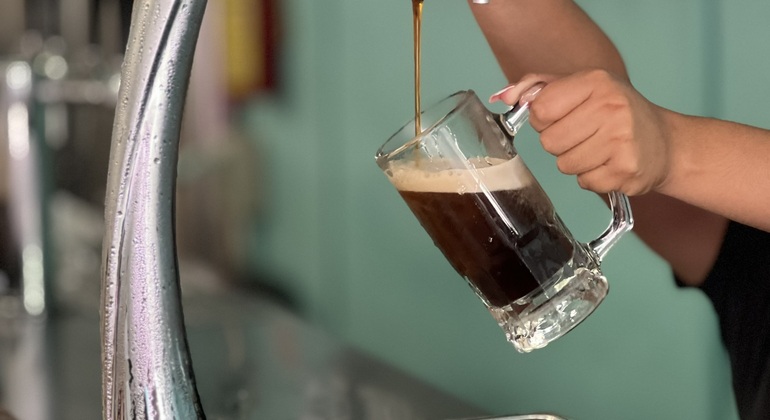 Passeggiata nel centro città e tour della birra artigianale