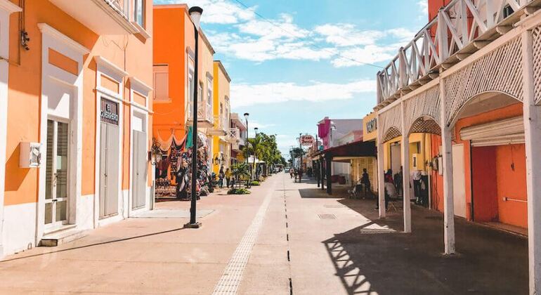 Passeggiata nel centro città e tour della birra artigianale