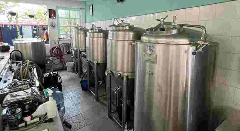 Passeggiata nel centro città e tour della birra artigianale
