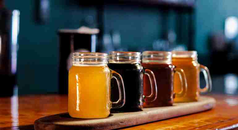 Passeggiata nel centro città e tour della birra artigianale