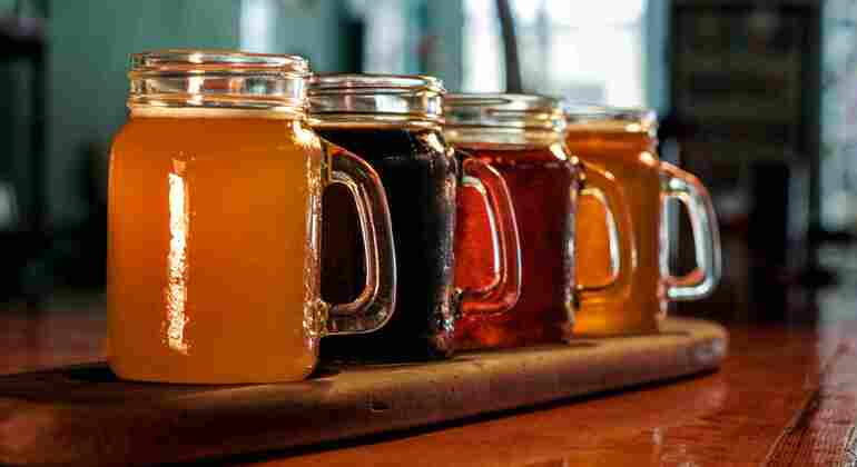 Passeggiata nel centro città e tour della birra artigianale