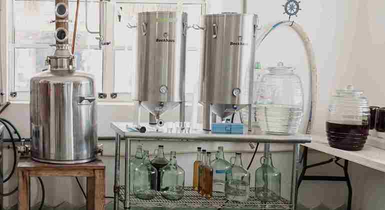 Passeggiata nel centro di Cozumel: esperienza alla distilleria di rum e gin