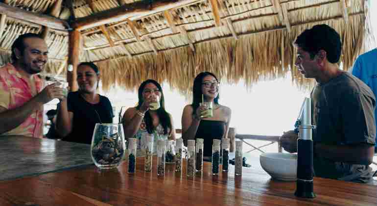 Passeggiata nel centro di Cozumel: esperienza alla distilleria di rum e gin