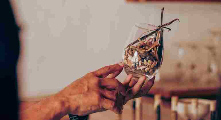 Passeggiata nel centro di Cozumel: esperienza alla distilleria di rum e gin