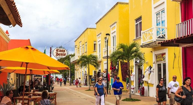 Passeggiata nel centro di Cozumel: esperienza alla distilleria di rum e gin