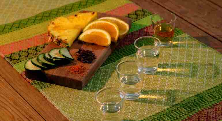 L'arte del mezcal: degustazione e pranzo nel centro di Cozumel