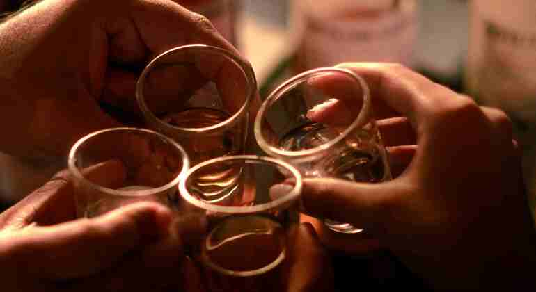 L'arte del mezcal: degustazione e pranzo nel centro di Cozumel