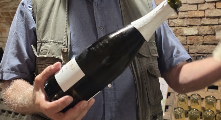 Tour di degustazione di spumanti in una piccola azienda vinicola a conduzione familiare