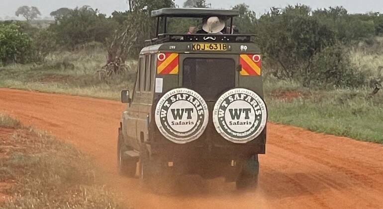 Safari di un'intera giornata nello Tsavo Est