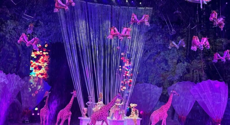 Chimelong International Circus