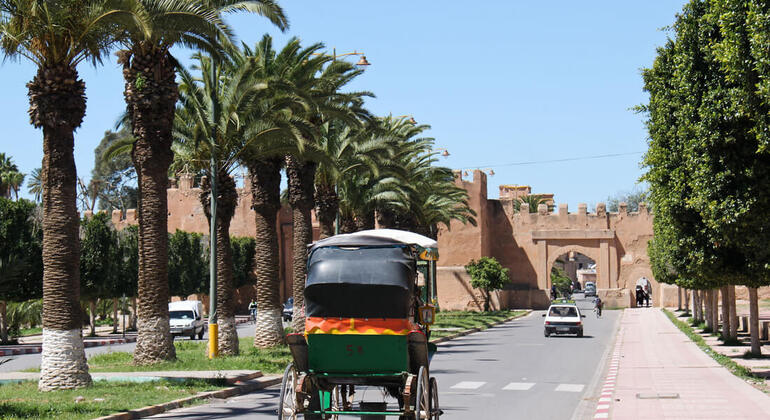 Tagesausflug von Agadir nach Taroudant und zur Oase Tiout – Ganztägige Tour