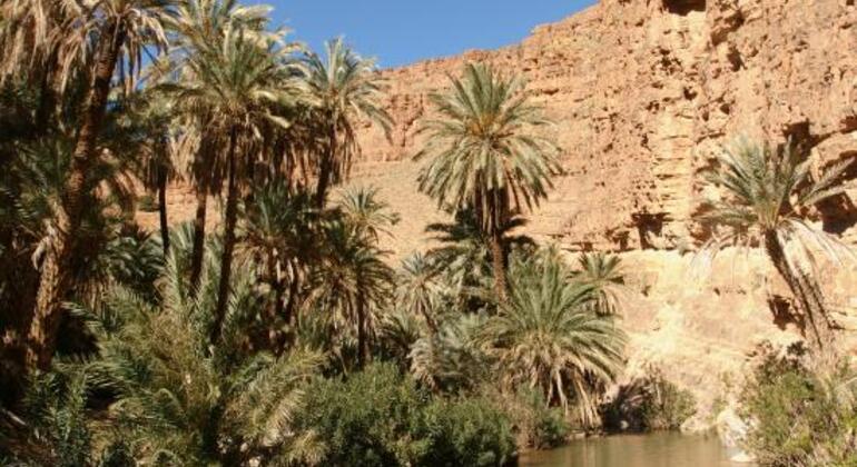Tagesausflug von Agadir nach Taroudant und zur Oase Tiout – Ganztägige Tour