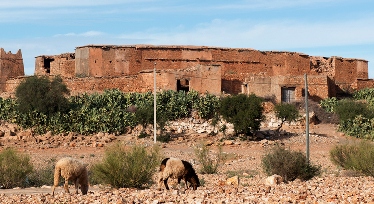 Tagesausflug von Agadir nach Taroudant und zur Oase Tiout – Ganztägige Tour