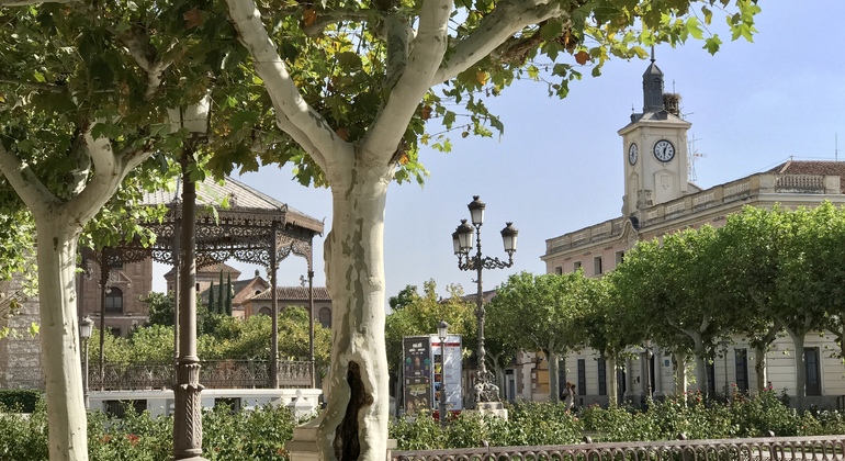 Visita guidata ad Alcalá de Henares e all’Università