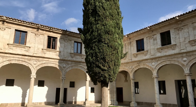 Visita guidata ad Alcalá de Henares e all’Università