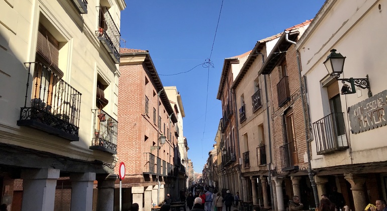 Visita guidata ad Alcalá de Henares e all’Università