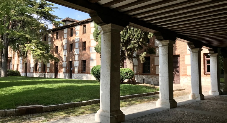 Visita guidata ad Alcalá de Henares e all’Università