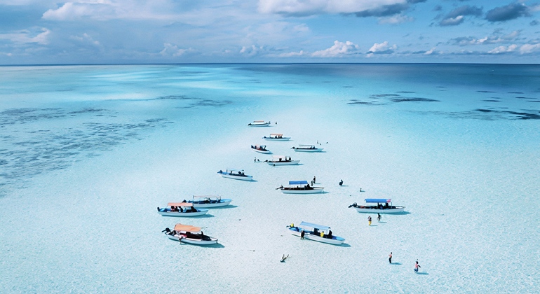 Excursion pour observer les dauphins à Mnemba, Zanzibar