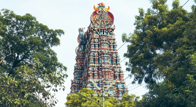 Descubre Madurai: templos, cultura y gastronomía local