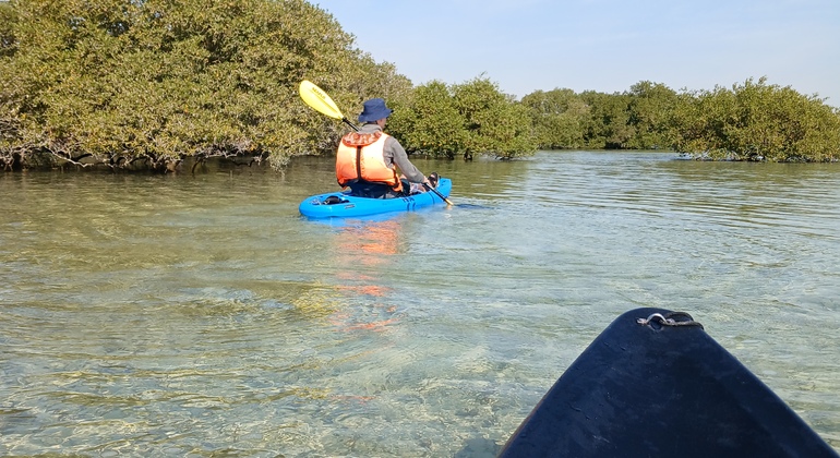 Kajak- und Vogelbeobachtungstour auf Purple Island