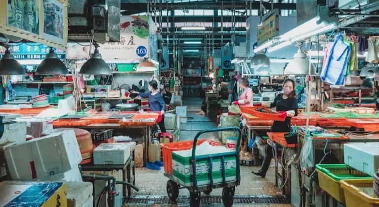 Masterclass a Donggang: Museo King Boat, Tempio e Mercato del pesce