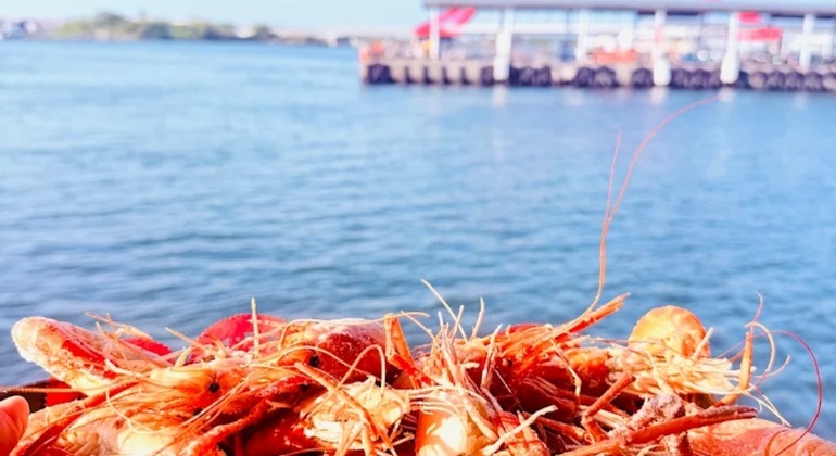 Masterclass a Donggang: Museo King Boat, Tempio e Mercato del pesce