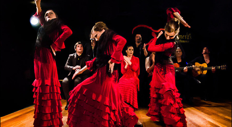 Tapas and Flamenco Crawl Madrid