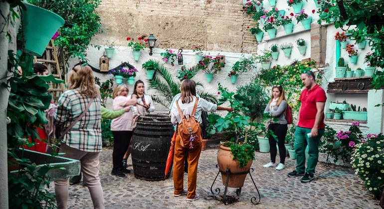 Patios of Cordoba Tour