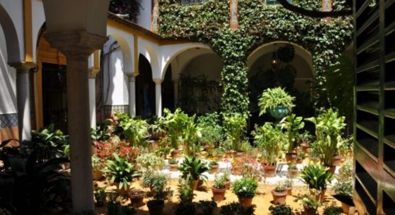 Two Hours Panoramic Walking Tour of Seville
