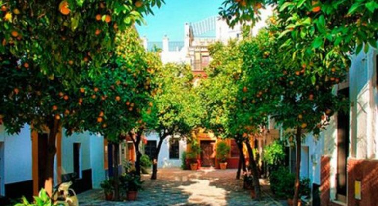 Four Hour Panoramic Walking Tour Seville