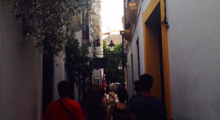 Seville Rooftops Sunset Walking Tour