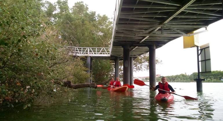 Seville Kayak Tour