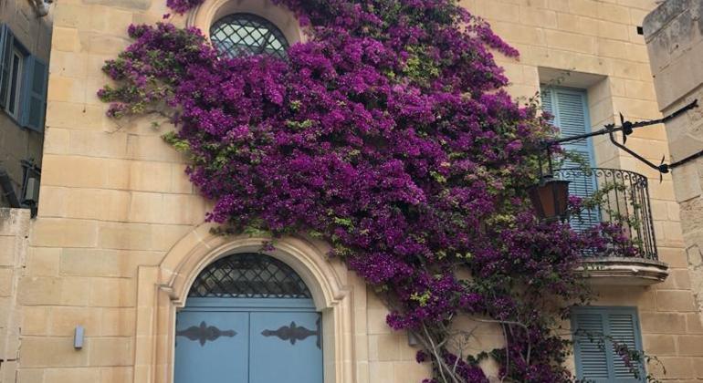 Mdina & Rabat Walking Tour with Catacombs and Grotto Entrance