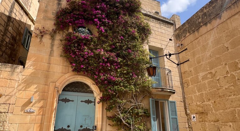 Mdina & Rabat Walking Tour with Catacombs and Grotto Entrance