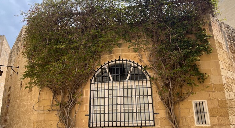 Mdina & Rabat Walking Tour with Catacombs and Grotto Entrance