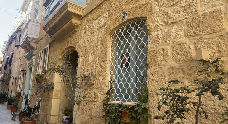 Mdina & Rabat Walking Tour with Catacombs and Grotto Entrance