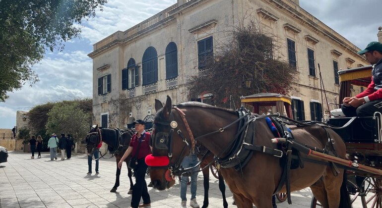 Mdina & Rabat Walking Tour with Catacombs and Grotto Entrance
