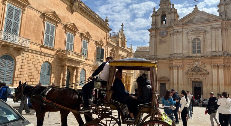 Mdina & Rabat Walking Tour with Catacombs and Grotto Entrance