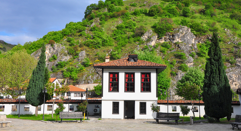 Explore Kosovo: Group Tour to Pristina and Prizren from Skopje