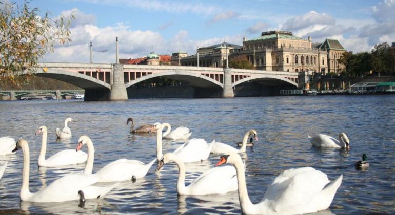 Best of Prague Tour: Castle Area, Bus & River Cruise