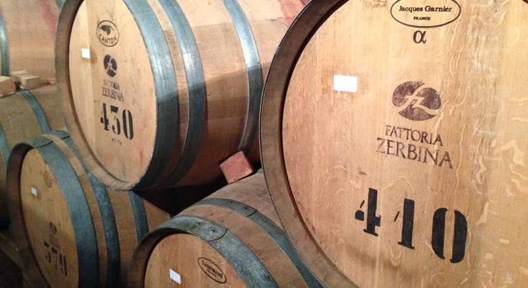 Wine Tasting in Bratislava