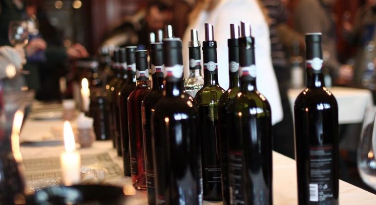 Wine Tasting in Bratislava