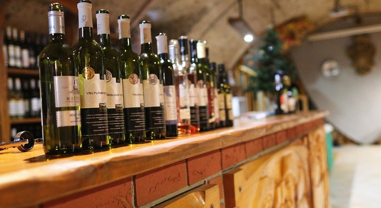 Wine Tasting in Bratislava
