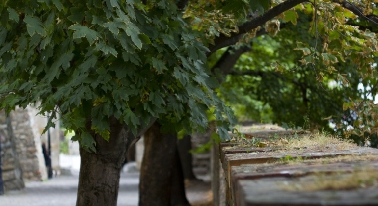 Bratislava City Tour: Where the Hell is Bratislava?