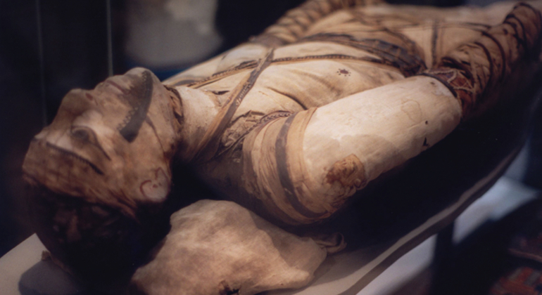 Tour of the British Museum in London