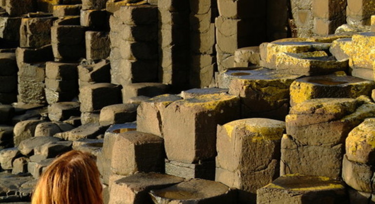 From Dublin : Giants Causeway, Dunluce Castle, Dark Hedges & Belfast