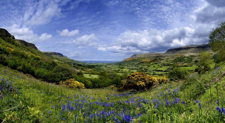 From Dublin : Giants Causeway, Dunluce Castle, Dark Hedges & Belfast